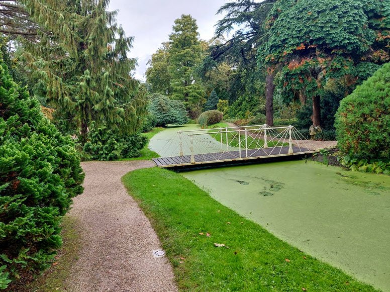 Arboretum Trompenburg, Netherlands
